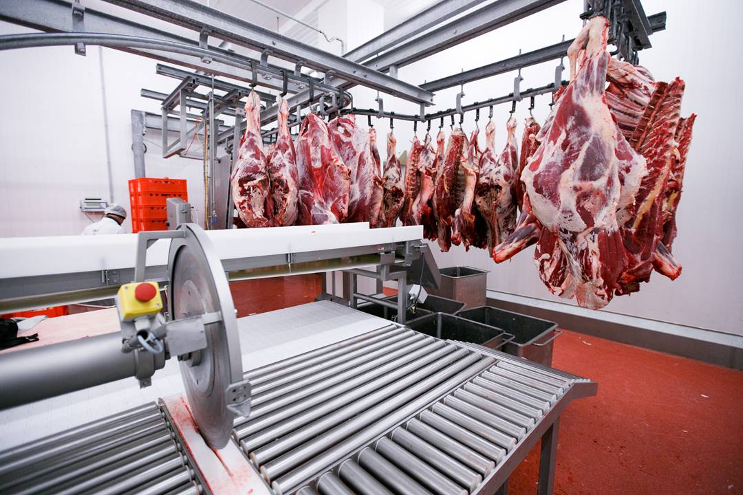 Traçabilité de la viande en abattoirs