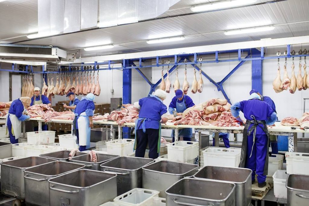 tracabilité abattoirs bacs